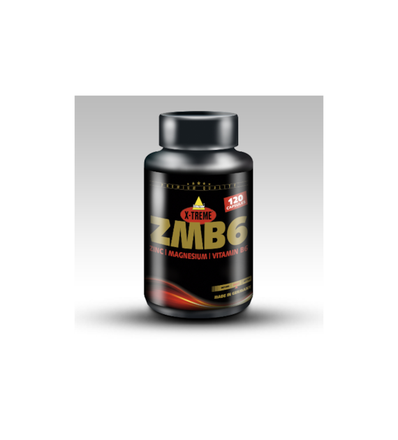 INKOSPOR X-TREME ZMB6 120cap