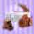 CUKRY NYSKIE FIT&FREE HERBATNIKI 120g CHOCO