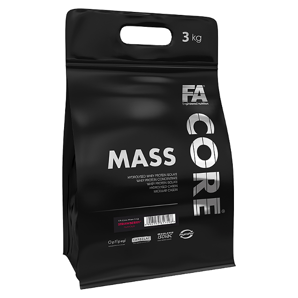 FA CORE MASS 3000g VANILLA