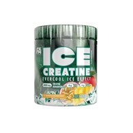 FA ICE CREATINE 300g JAR MANGO-PASSION FRUIT