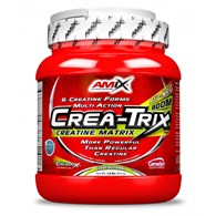 AMIX CREA-TRIX 824g JAR FRUIT